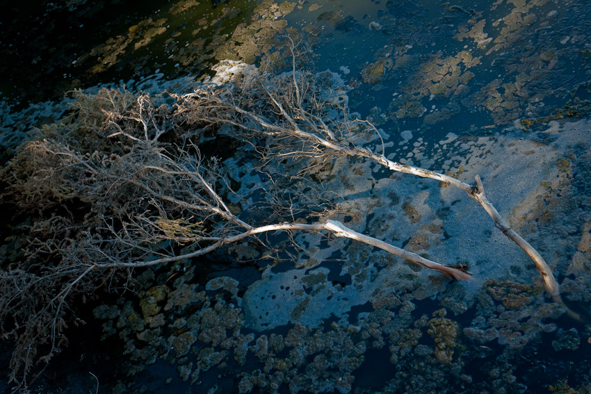 Hindmarsh River estuary